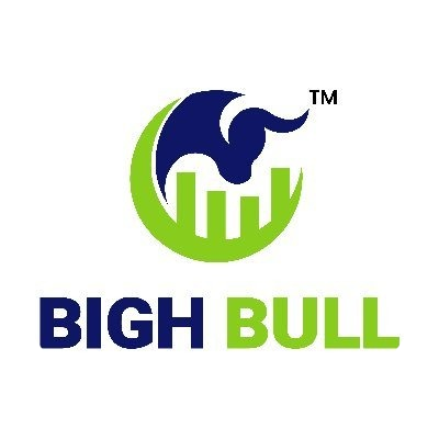 logo BighBull