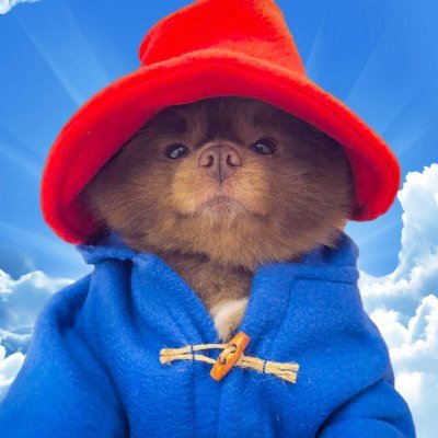 logo Bertram The Pomeranian