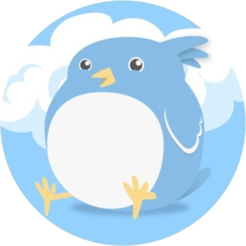 logo Birdy Finance
