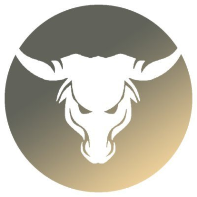 logo MultiMillion