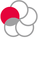 logo Japan Content Token
