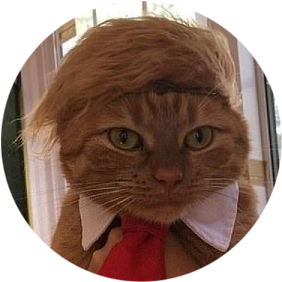 logo DONALDCAT