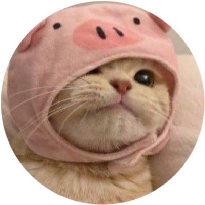 logo PigCatSol