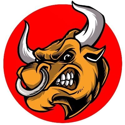 logo BullShit Inu