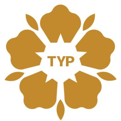 logo The Youth Pay