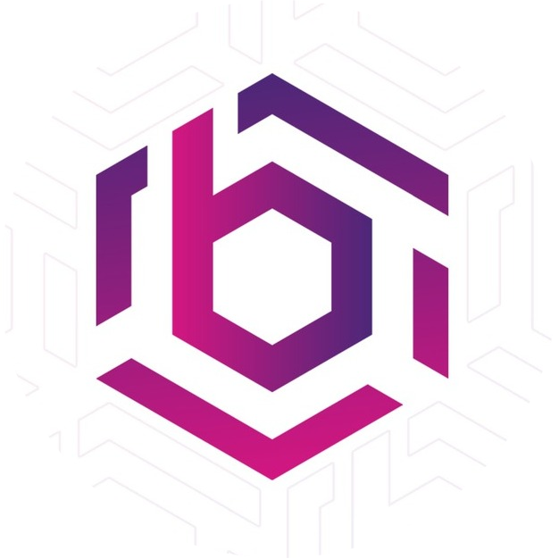 logo BHO Network