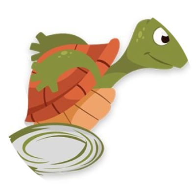 logo Turtle Fly
