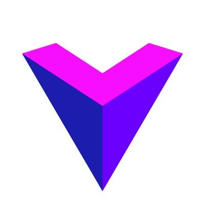 logo Voxel X Network