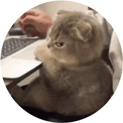 logo Side Eye Cat