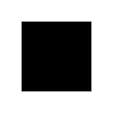 logo Agent Nothing