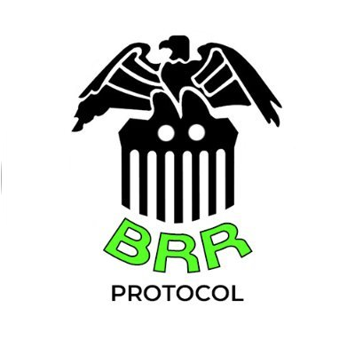 logo Brr Protocol