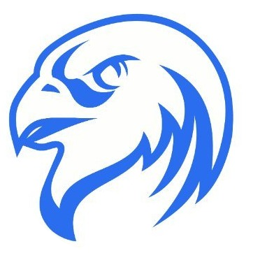 logo Falconswap