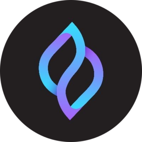 logo Seedify