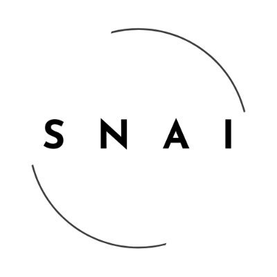 logo SwarmNode.ai