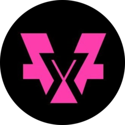 logo VidyX