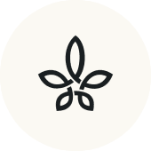 logo Sequoir