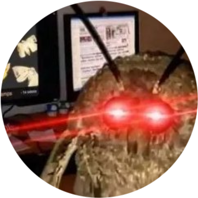 logo MOTH