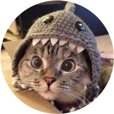 logo Shark Cat