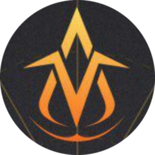 logo V-Dimension