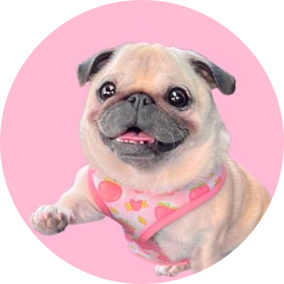logo loulou