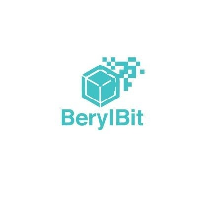 logo Berylbit Layer-3 Network (old)