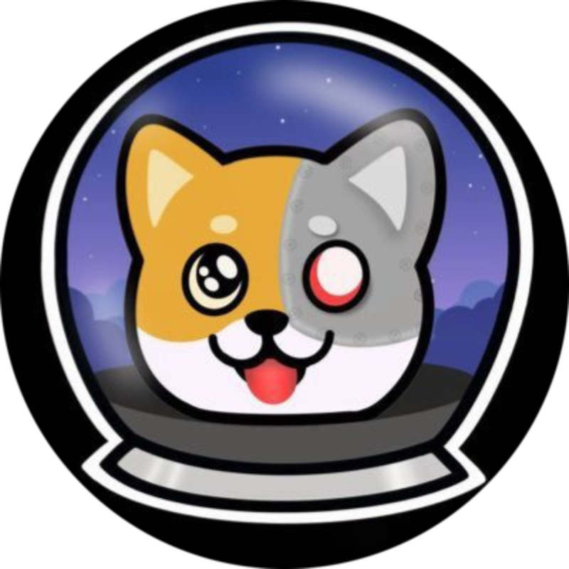 logo MicroSHIBA