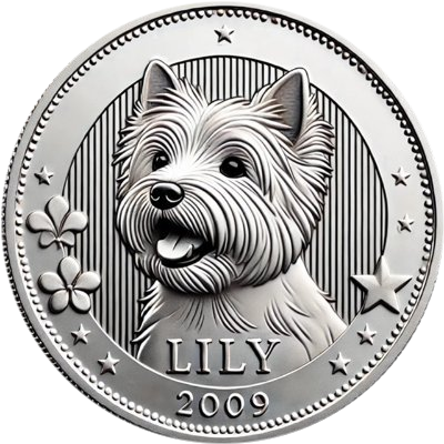 logo Lily's Coin