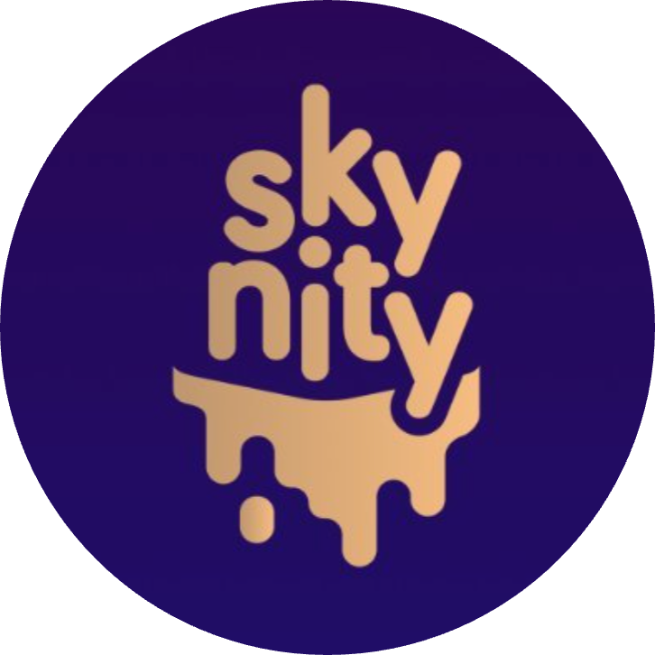 logo SkyNity