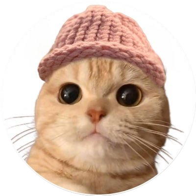 logo Meowifhat