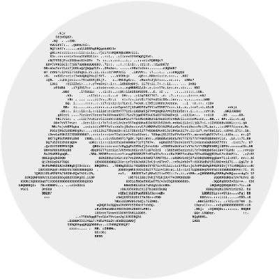 logo dao5