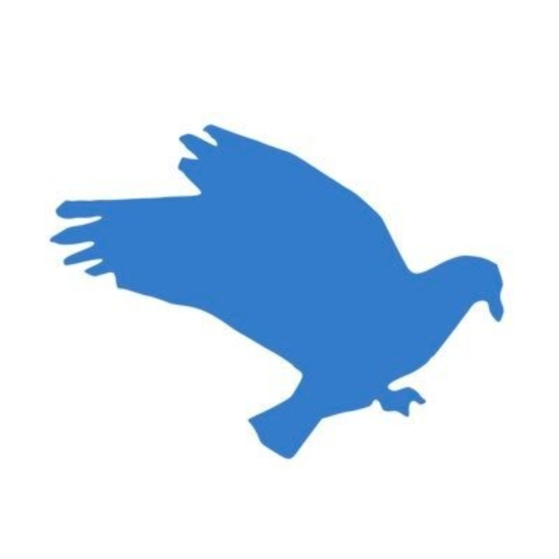 logo DMM: Governance