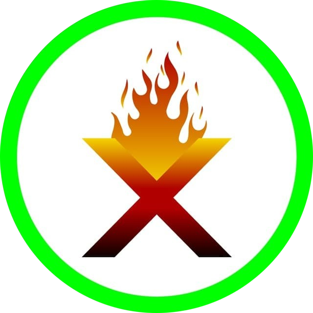 logo BurnX