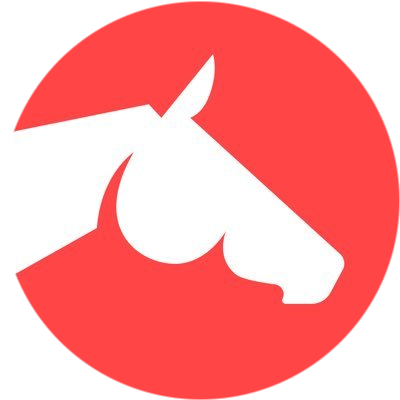 logo Silks