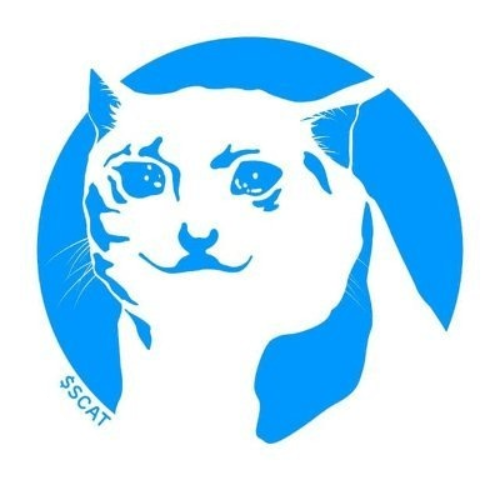 logo Sad Cat Token