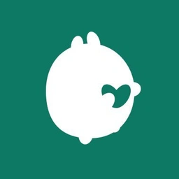 logo Solace by Virtuals