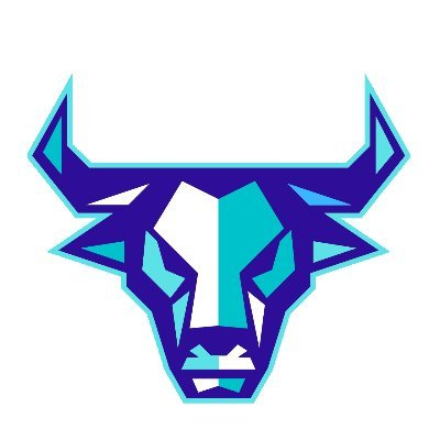logo BullBankers