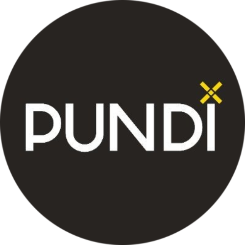 logo Pundi X