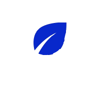 logo Springrole
