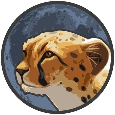 logo Token Cheetah