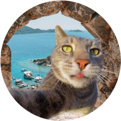logo CATOUR