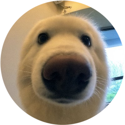 logo Boop