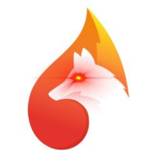 logo Foxy Equilibrium