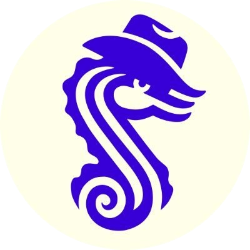 logo Saddle