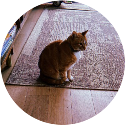 logo Ansem's Cat