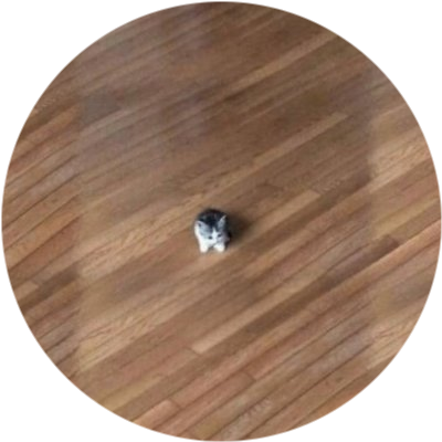 logo Smol Cat
