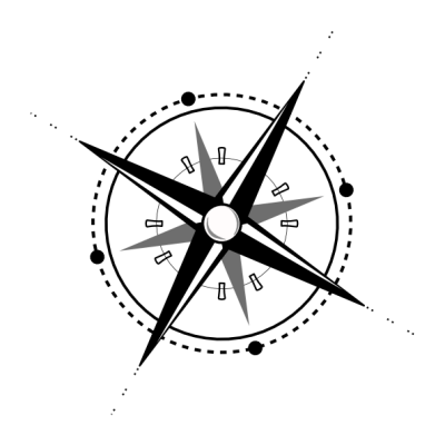logo Solana Compass Staked SOL