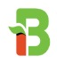 logo Block Beats Network