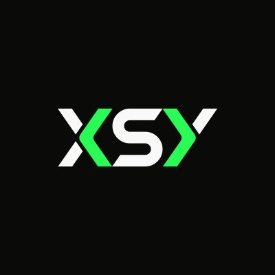 logo XSY
