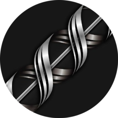 logo Railgun