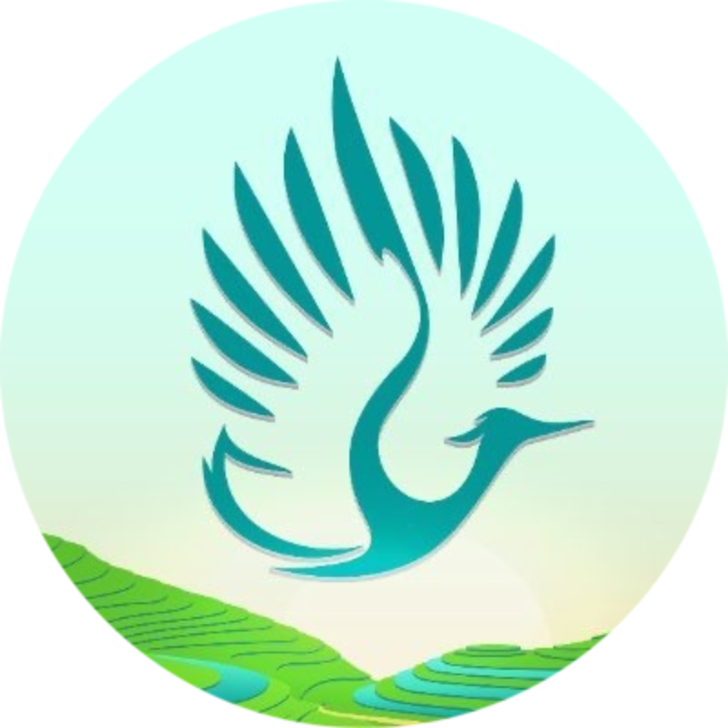 logo Heron Asia